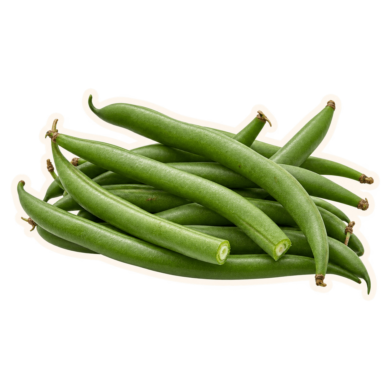 Naturally imperfect fresh green beans with an offset cream cut-paper outline