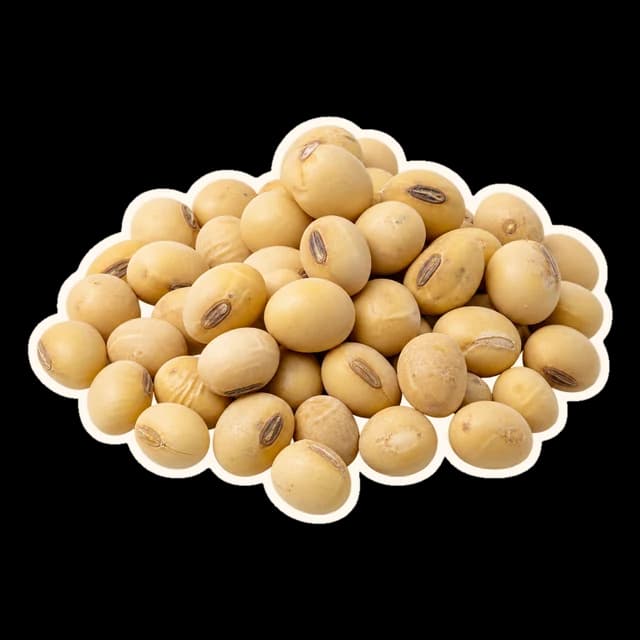 A small pile of dried soybeans