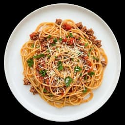 Bolognese-y Does It