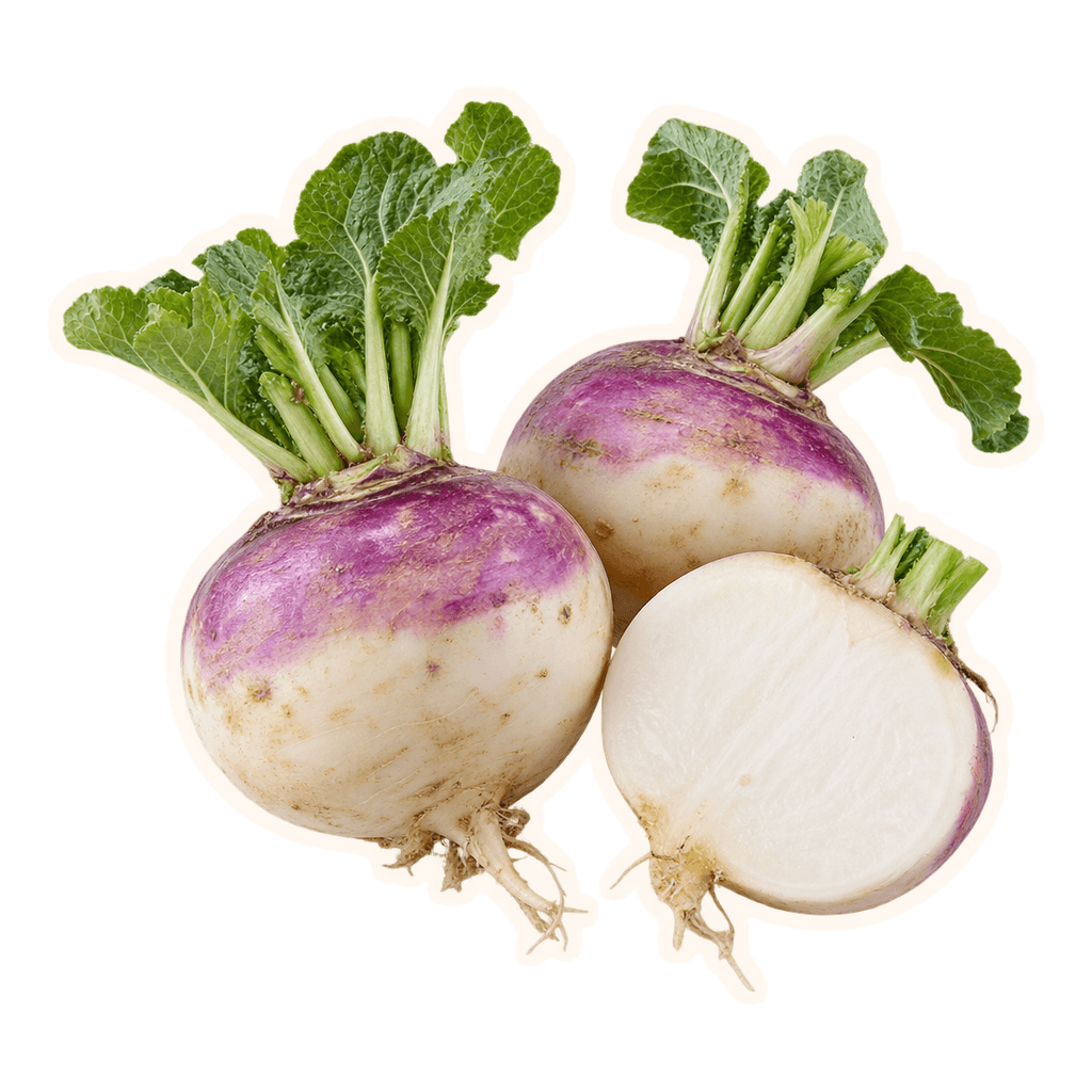Naturally imperfect turnips with an offset cream cut-paper outline