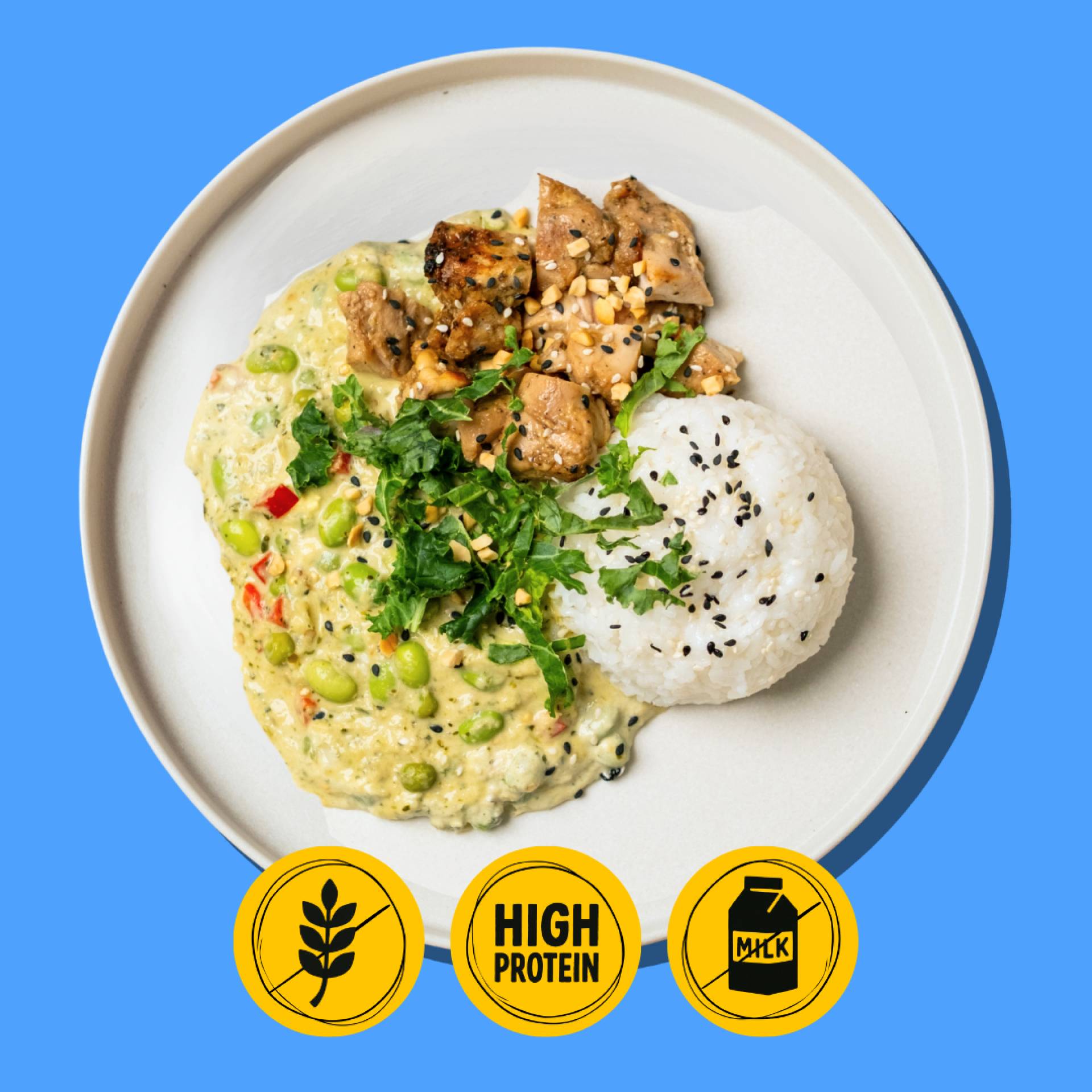 Beach Bum Chicken Thai Green Curry