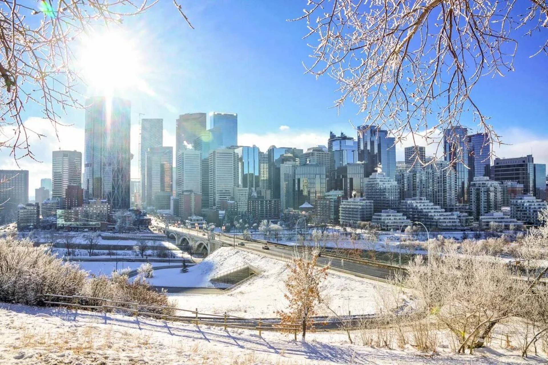 Support Local Calgary Gift Guide